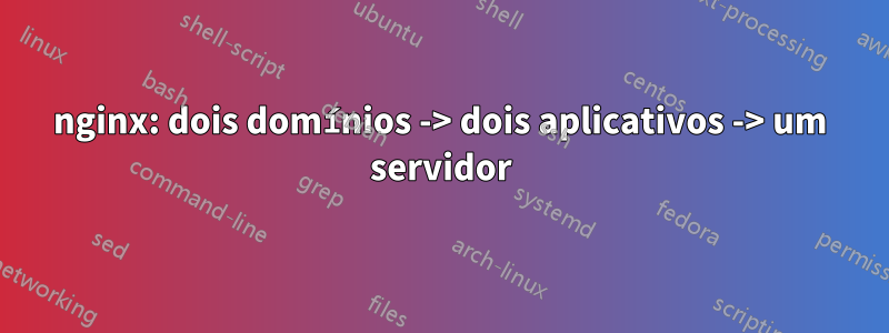 nginx: dois domínios -> dois aplicativos -> um servidor