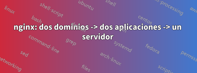 nginx: dos dominios -> dos aplicaciones -> un servidor