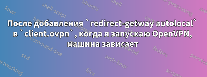 После добавления `redirect-getway autolocal` в `client.ovpn`, когда я запускаю OpenVPN, машина зависает