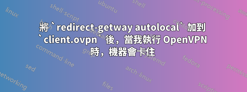 將 `redirect-getway autolocal` 加到 `client.ovpn` 後，當我執行 OpenVPN 時，機器會卡住