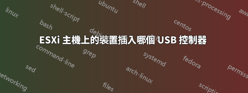 ESXi 主機上的裝置插入哪個 USB 控制器