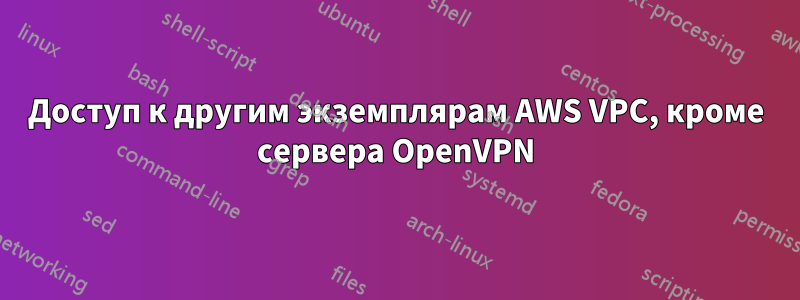 Доступ к другим экземплярам AWS VPC, кроме сервера OpenVPN