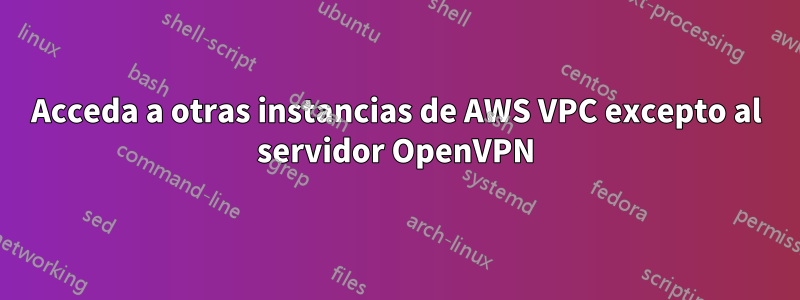 Acceda a otras instancias de AWS VPC excepto al servidor OpenVPN