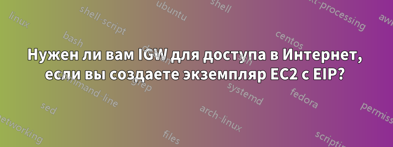 Нужен ли вам IGW для доступа в Интернет, если вы создаете экземпляр EC2 с EIP?