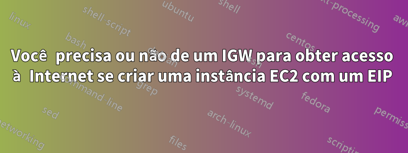 Você precisa ou não de um IGW para obter acesso à Internet se criar uma instância EC2 com um EIP