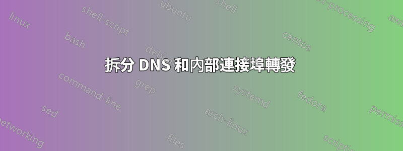 拆分 DNS 和內部連接埠轉發