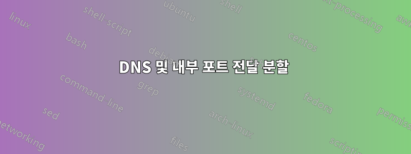 DNS 및 내부 포트 전달 분할