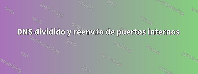 DNS dividido y reenvío de puertos internos