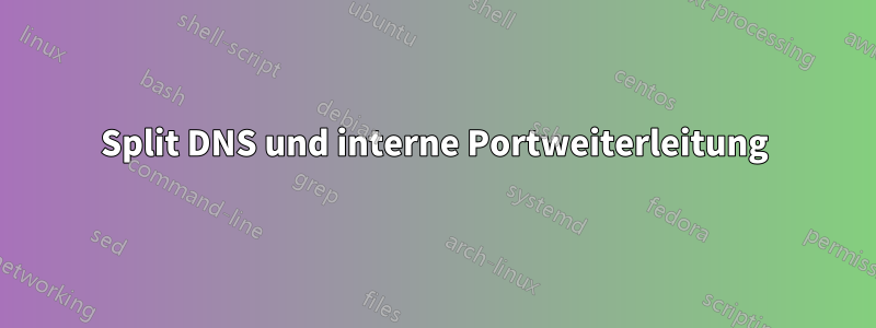 Split DNS und interne Portweiterleitung