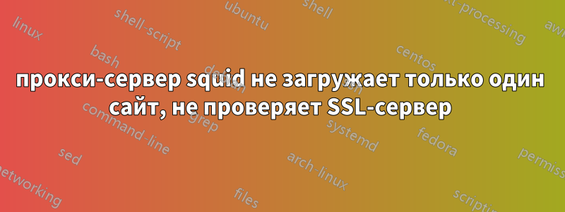 прокси-сервер squid не загружает только один сайт, не проверяет SSL-сервер