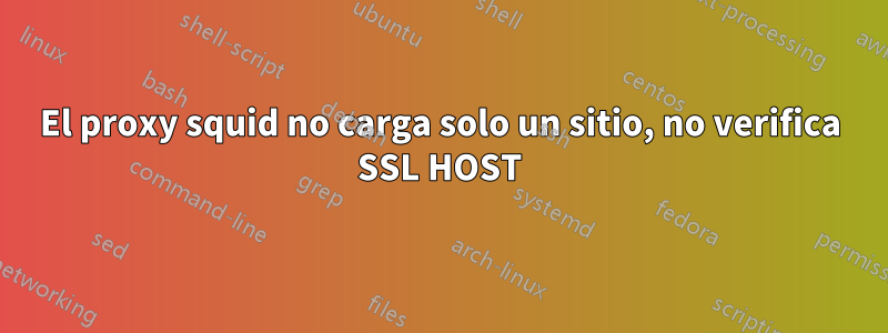 El proxy squid no carga solo un sitio, no verifica SSL HOST