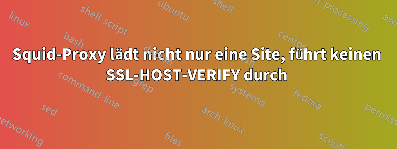 Squid-Proxy lädt nicht nur eine Site, führt keinen SSL-HOST-VERIFY durch