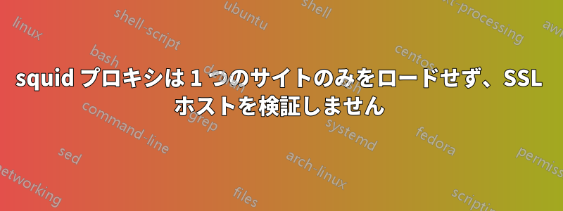 squid プロキシは 1 つのサイトのみをロードせず、SSL ホストを検証しません