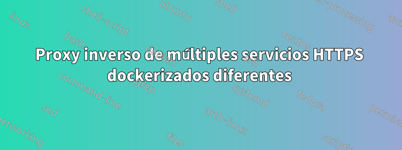 Proxy inverso de múltiples servicios HTTPS dockerizados diferentes