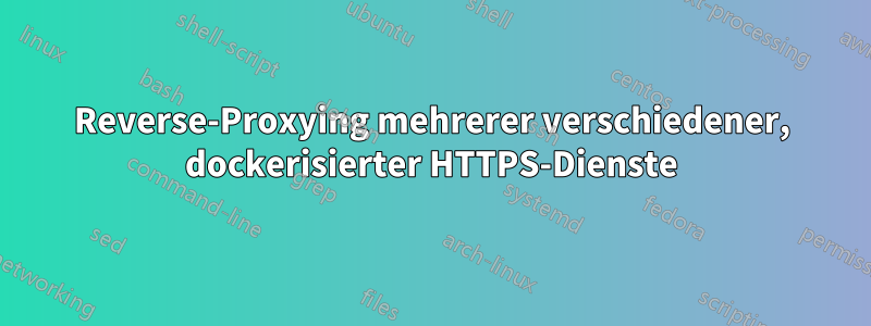 Reverse-Proxying mehrerer verschiedener, dockerisierter HTTPS-Dienste