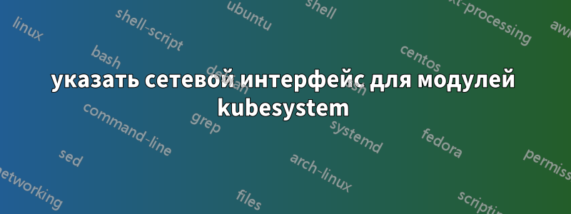 указать сетевой интерфейс для модулей kubesystem