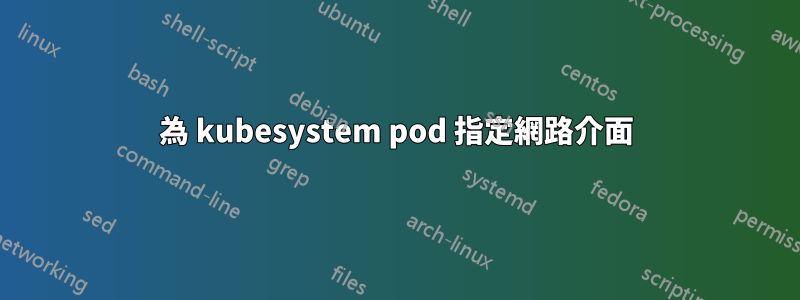 為 kubesystem pod 指定網路介面