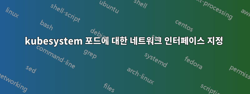 kubesystem 포드에 대한 네트워크 인터페이스 지정