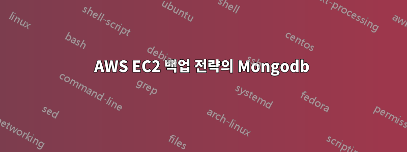 AWS EC2 백업 전략의 Mongodb