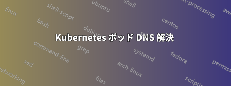 Kubernetes ポッド DNS 解決