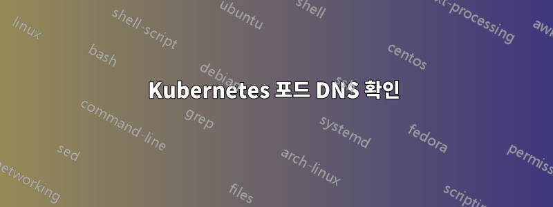 Kubernetes 포드 DNS 확인