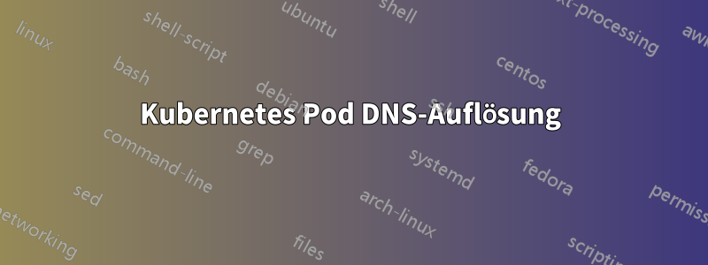 Kubernetes Pod DNS-Auflösung