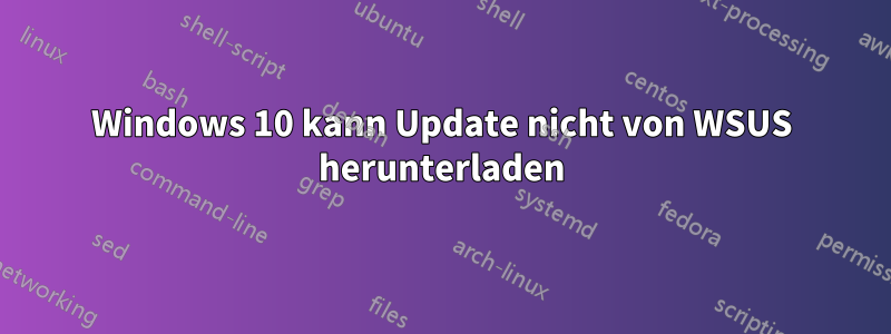 Windows 10 kann Update nicht von WSUS herunterladen