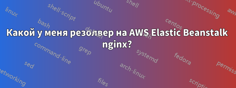 Какой у меня резолвер на AWS Elastic Beanstalk nginx?