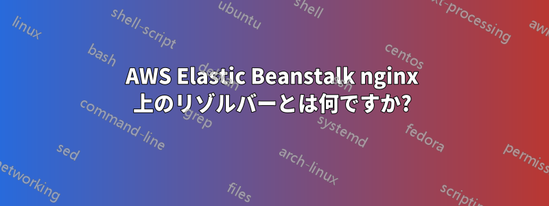 AWS Elastic Beanstalk nginx 上のリゾルバーとは何ですか?