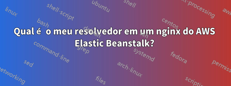 Qual é o meu resolvedor em um nginx do AWS Elastic Beanstalk?