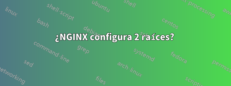 ¿NGINX configura 2 raíces?