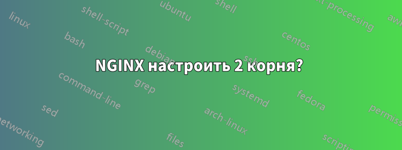 NGINX настроить 2 корня?