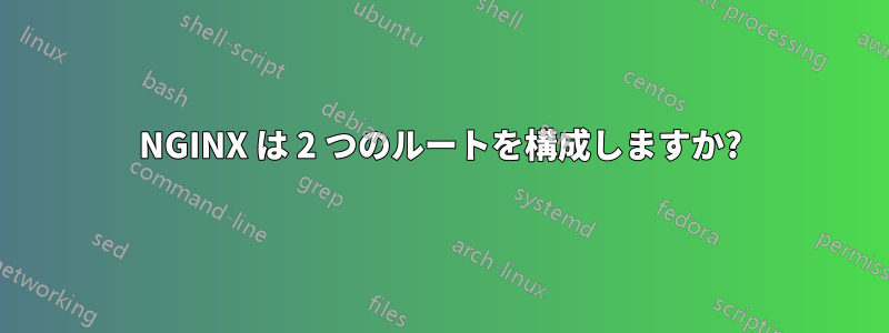 NGINX は 2 つのルートを構成しますか?