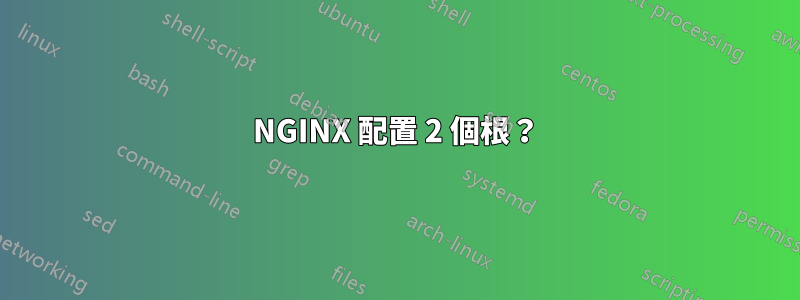 NGINX 配置 2 個根？