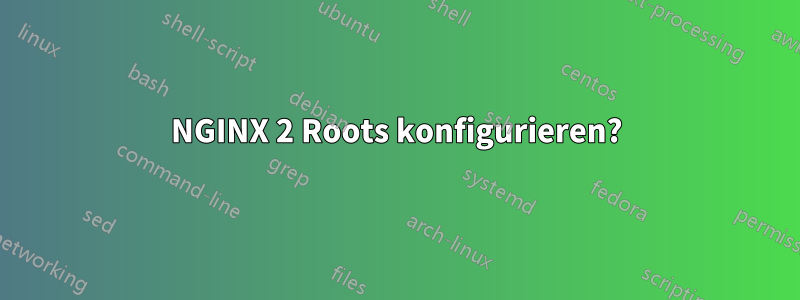 NGINX 2 Roots konfigurieren?