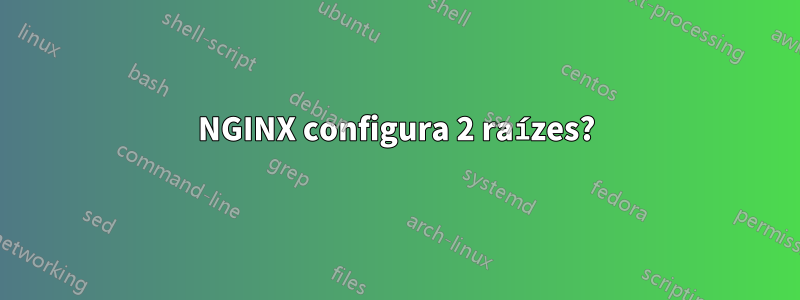 NGINX configura 2 raízes?