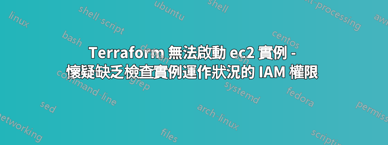 Terraform 無法啟動 ec2 實例 - 懷疑缺乏檢查實例運作狀況的 IAM 權限