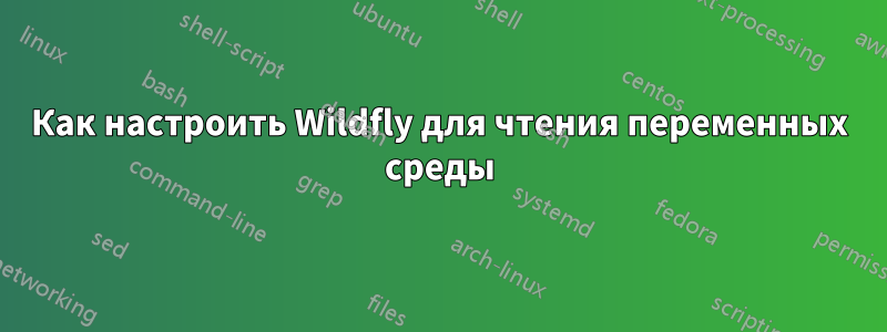 Как настроить Wildfly для чтения переменных среды