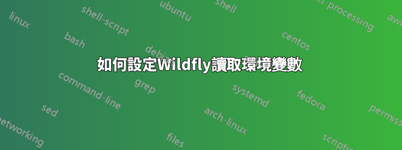 如何設定Wildfly讀取環境變數