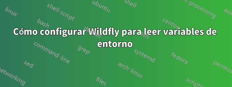 Cómo configurar Wildfly para leer variables de entorno