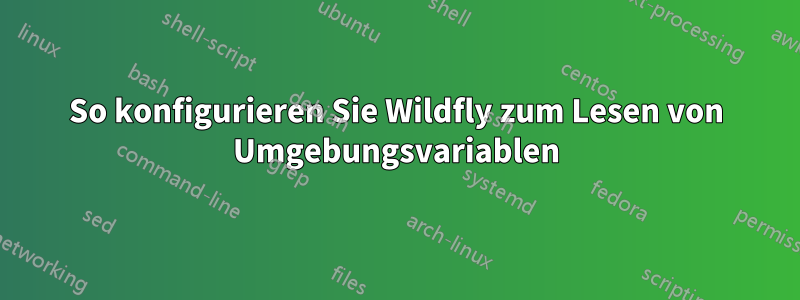 So konfigurieren Sie Wildfly zum Lesen von Umgebungsvariablen