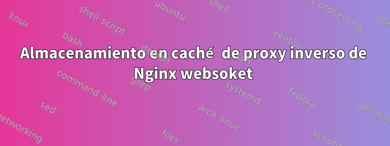 Almacenamiento en caché de proxy inverso de Nginx websoket