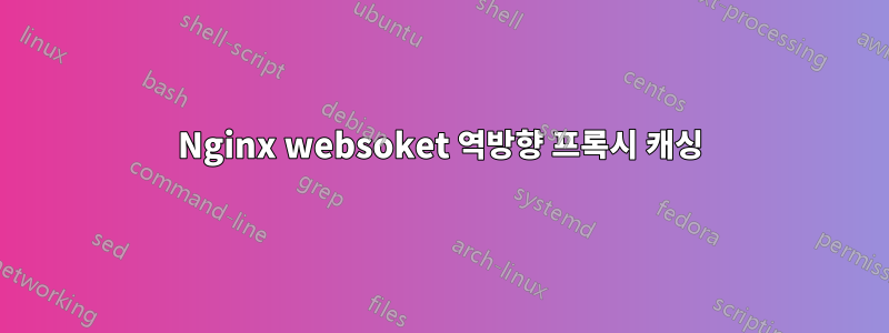 Nginx websoket 역방향 프록시 캐싱