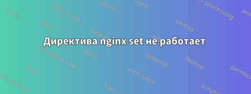 Директива nginx set не работает