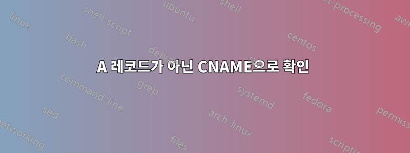 A 레코드가 아닌 CNAME으로 확인