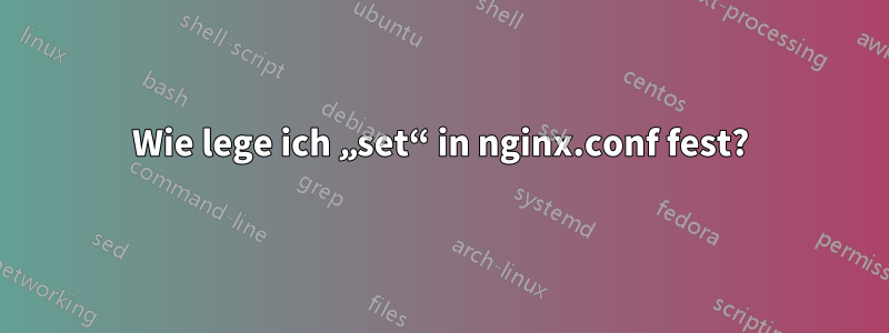 Wie lege ich „set“ in nginx.conf fest?