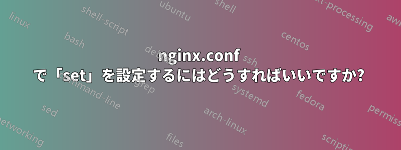 nginx.conf で「set」を設定するにはどうすればいいですか?