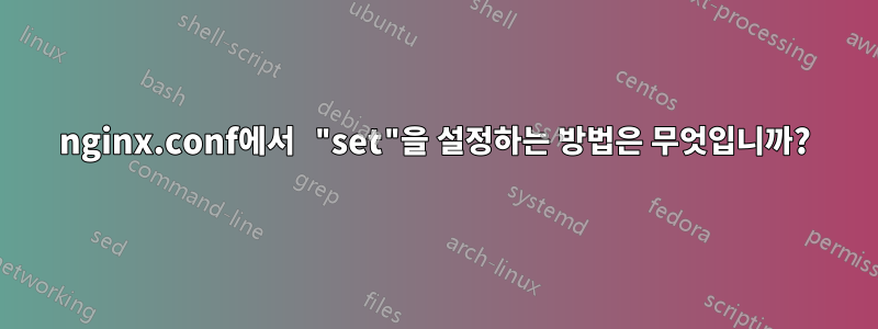 nginx.conf에서 "set"을 설정하는 방법은 무엇입니까?