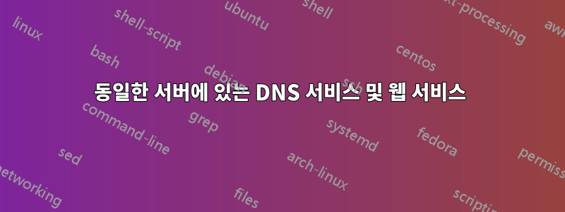 동일한 서버에 있는 DNS 서비스 및 웹 서비스