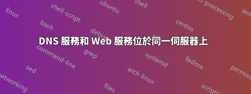 DNS 服務和 Web 服務位於同一伺服器上 